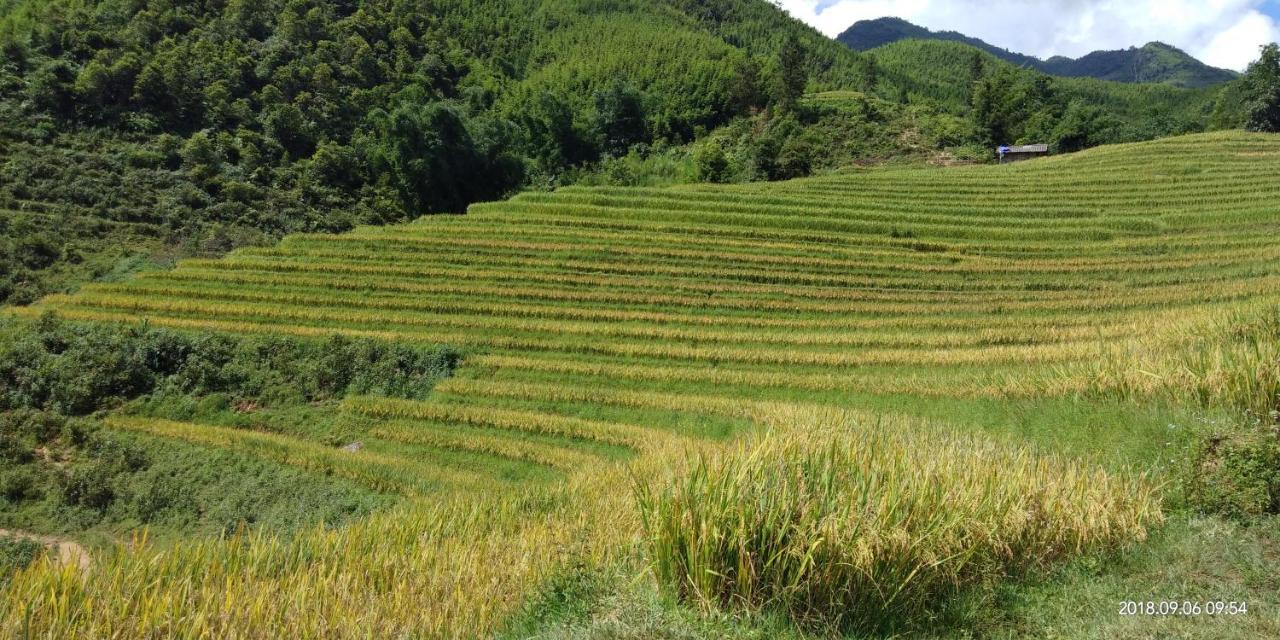 Dzay House Homestay Sapa Exteriér fotografie
