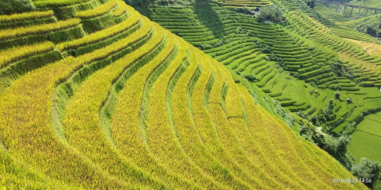 Dzay House Homestay Sapa Exteriér fotografie